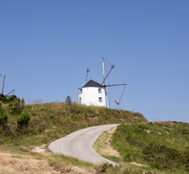 History and Culture Tours
